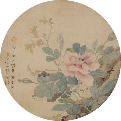 CHINE - XIXe siècle Roses
Encre et couleurs sur soie.
(Taches)
Dimensions à vue :...