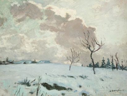 Alfred SWIEYKOWSKI (1869-1953) Ciel de neige en Haute-Savoie
Huile sur carton.
Signée...