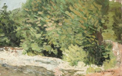 Alfred SWIEYKOWSKI (1869-1953) Rivière sous les arbres
Huile sur carton.
Signée en...