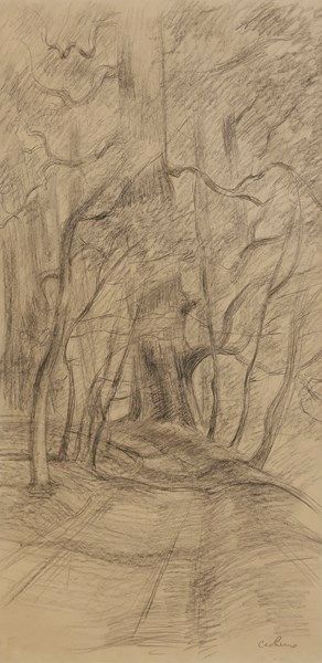 François CACHEUX (1923-2010) Sous-bois
Dessin au crayon.
Signé en bas à droite.
47.5...