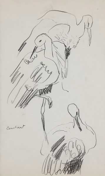 Joseph CONSTANTINOWSKY (1892-1969) Cigognes
Dessin au crayon noir.
Signé vers le...