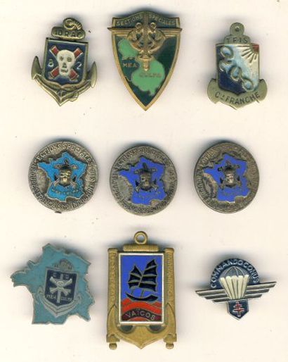 null 9 Insignes commandos dont Groupe Franc du 10e RAC, sections spéciales, compagnie...