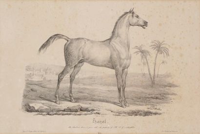 Carle Vernet (1758-1836) Jazal ; Fingal. 1828. Lithographie. À vue : 500 x 335. Bonnes...