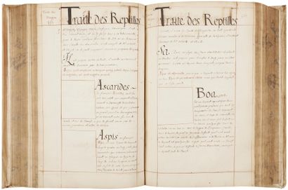 null sciences. Manuscrit, Traité des Animaux…, [XVIIIe siècle] ; fort volume in-fol....