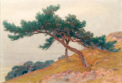 Louis HESTAUX (1858-1919). Les pins sur la colline. Huile sur panneau, signée en...