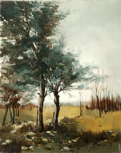 Jean-Pierre DAUBIN (né en 1942). Les arbres, 1973. Huile sur toile, signée et datée...