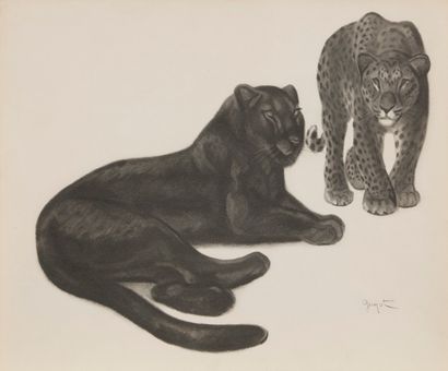 null Georges-Lucien GUYOT (1885-1973)
Panthères, Puma, Tigre 
Suite de trois lithographies...