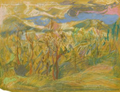 null Farid AOUAD [libanais] (1924-1982)
Paysage
Pastel sur papier velours.
Signé...