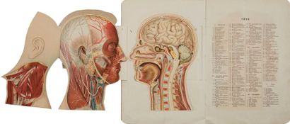 null [ANATOMIE] VERNON. Atlas anatomique. Paris : M. Vermot, [vers 1900]. — In-8,...