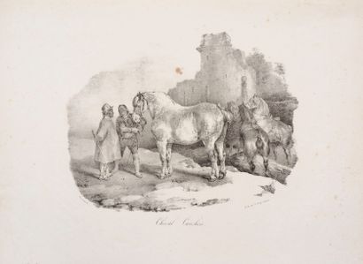 null Théodore GÉRICAULT 
 Cheval cauchois. 1822. Lithographie. 173 x 222. Delteil...