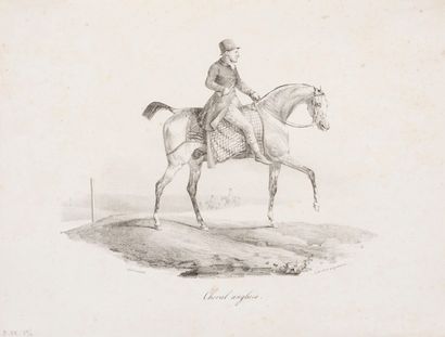null Théodore GÉRICAULT 
 Cheval anglais. 1822. Lithographie. 166 x 221. Delteil...