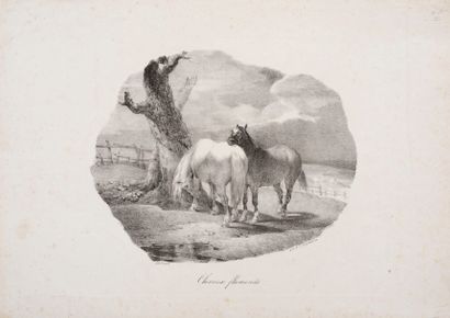 null Théodore GÉRICAULT 
 Chevaux flamands. 1822. Lithographie. 172 x 216. Delteil...