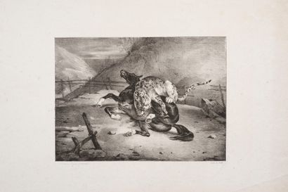 null Théodore GÉRICAULT (d’après)
 Tigre dévorant un cheval. Lithographie par J....