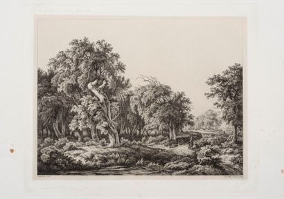 null Eugène BLÉRY 
 Le Vieux chêne de Bellecroix à la figure assise. 1844 ; Souvenir...