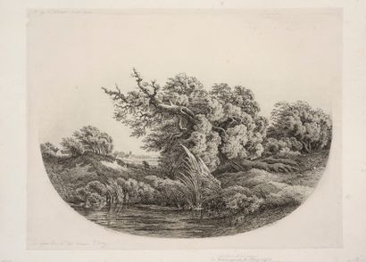 null Eugène BLÉRY 
 Le Chêne et le roseau. 1862. Eau-forte. 414 x 540. Beraldi 119 ;...