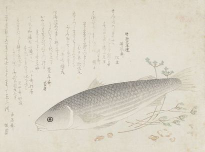 null Ryuryukyo Shinsai (1764?-1823) 
Trois surimono, jeune femme préparant un tissu...