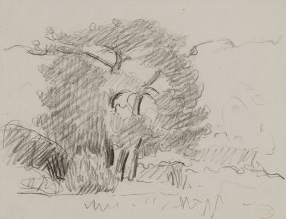null Henri Edmond CROSS (1856-1910)
Paysage à l'arbre
Dessin au fusain.
Porte le...