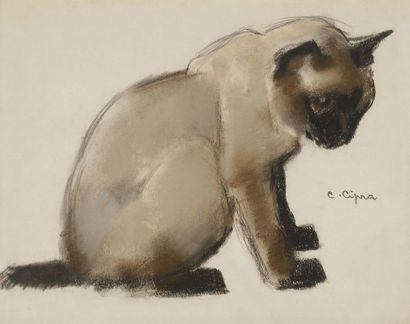 Jean Camille CIPRA (1893-
)
Chat siamois
Pastel.
Signé...