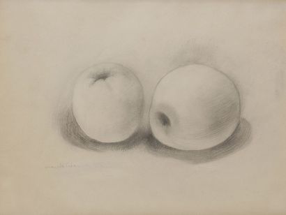  Marcelle CAHN (1895-1981) Deux pommes Dessin à la mine de plomb. Signé en bas à...