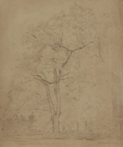 Stanislas LÉPINE (1835-1892) Étude d'arbre...