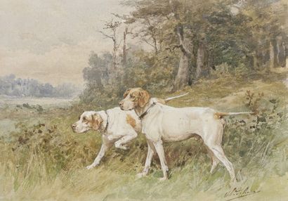 null Charles Olivier de PENNE (1831-1897)
Deux chiens à l'arrêt
Aquarelle.
Signée...