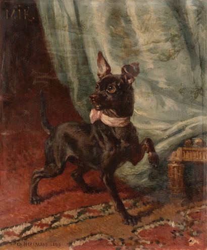 null Charles HERMANN-LEON (Paris 1838 - 1908)
Mik
Sur sa toile d’origine
56,5 x 46...