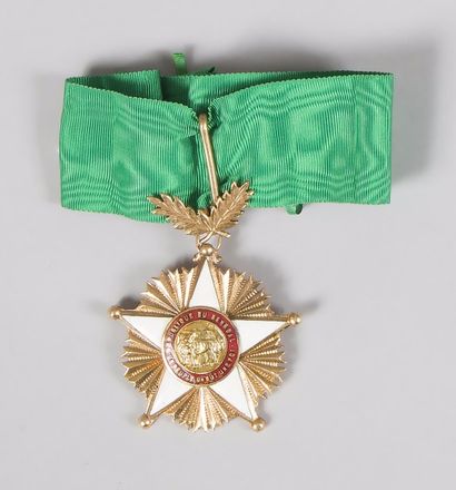 null SÉNÉGAL 
ORDRE NATIONAL DU LION, institué en 1960. 
Étoile de commandeur. 
Bronze...