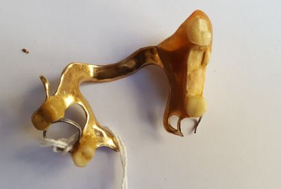 null Débris d'or (partie de dentier) Poids brut : 13.15g