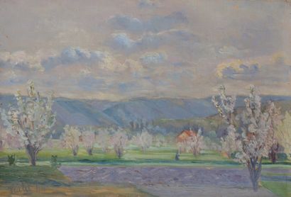 null Alfred VEILLET (1882-1958)
Freneuse, les cerisiers en fleurs, 1911
Huile sur...