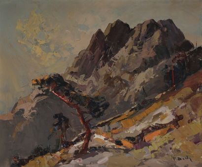 null Pierre BACH (1906-1971)
Paysage de Corse
Huile sur toile.
Signée en bas à droite.
46...