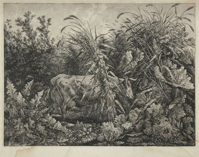 Carl Wilhelm Kolbe (1757-1835) Die Kuh im Sumpfe (La Vache au marécage). Eau-forte....