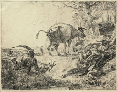 Nicolaes BERCHEM (1620-1683) La Vache qui pisse. Eau-forte. 265 x 207. Bartsch, Hollstein...