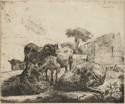 Jacob van der Does le Vieux (1623-1673) Groupe de cinq moutons. 1650. Eau-forte....