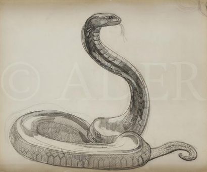 null Paul JOUVE (1880-1973)
Cobra dressé, 1924
Encre de Chine et mine de plomb.
43...