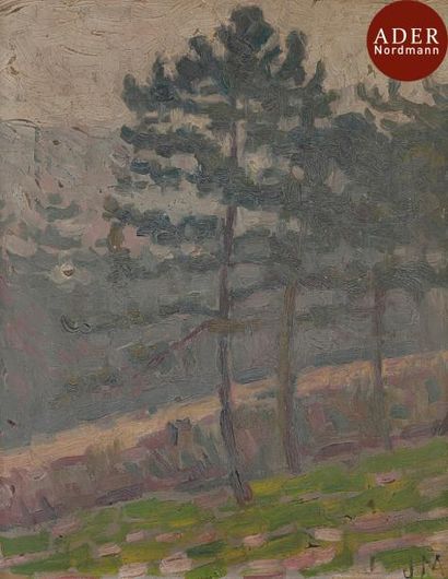 null Jean METZINGER (1883-1956)
Paysage aux sapins, vers 1906
Huile sur carton.
Monogrammée...