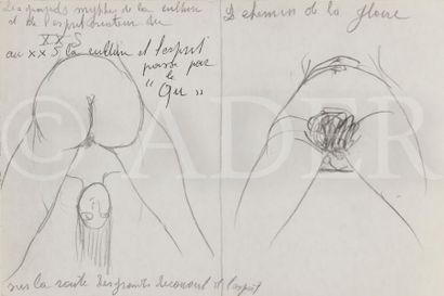 null Marcel DELMOTTE (1901-1984)
Le Qu
3 dessins à l’encre ou mine de plomb au dos...