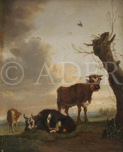 null École HOLLANDAISE vers 1800, 
suiveur de Paulus POTTER
Vaches
Panneau de chêne,...