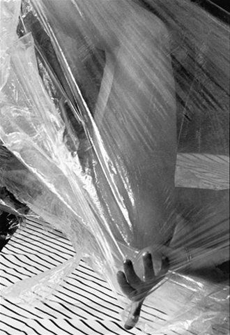André LE BLANC (Né en 1947) Métamorphose Photographie noir et blanc argentique numérisée....
