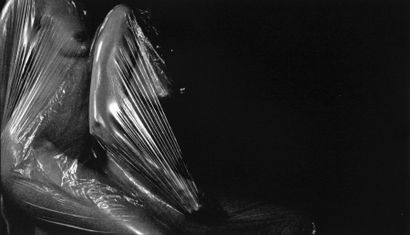 André LE BLANC (Né en 1947) Symbiose Photographie noir et blanc argentique numérisée....