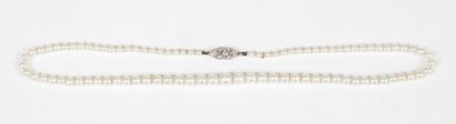 null Collier de perles de culture en chute.Fermoir en or gris 18K serti de brillants.
...