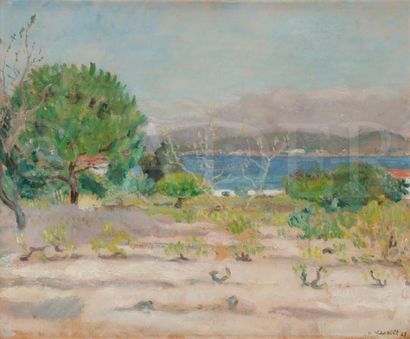 null Willem VAN HASSELT (1882-1963)
Paysage à Saint-Tropez, 1927
Huile sur panneau.
Signée...