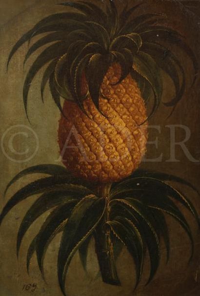 null ÉCOLE vers 1900
Ananas
Huile sur toile.
Porte un numéro en bas à gauche.
33...