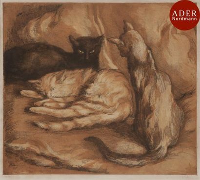 null Alfredo Müller (1869-1940)
 Les Trois chats. 1902. Eau-forte, aquatinte et vernis...