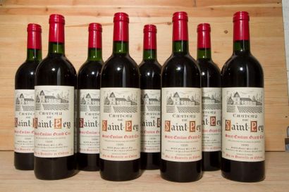 null 8 B, CHÂTEAU DE SAINT-PEY (T.L.B.+ ou mieux), GC St Emilion, 1996.