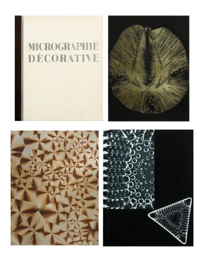 Laure Albin-Guillot (1879-1962) Micrographie décorative, 1931. 20 planches en photogravure...