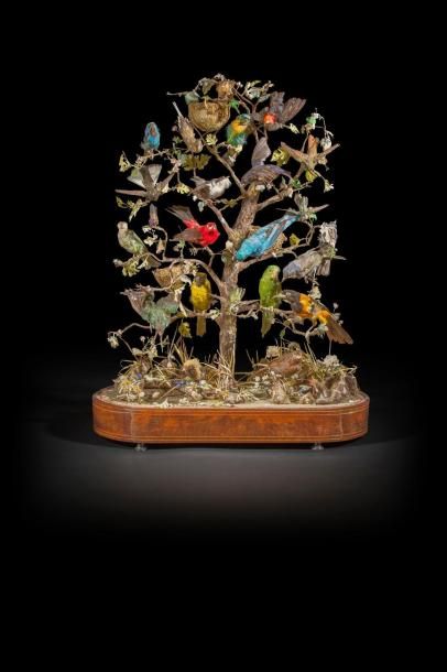 null Cage à oiseaux naturalisés dispersés dans un arbre ; sous un globe.
XIXe siècle...