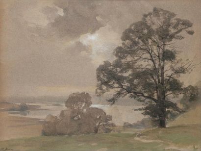 null Henri ZUBER (1844-1909)
Bord de lac au grand arbre
Aquarelle.
Signée en bas...