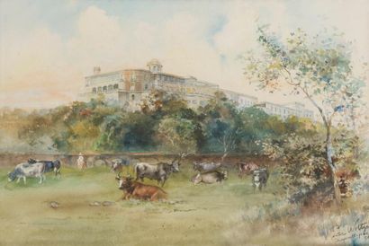 null Peter WOLTZE (1860-1925)
Vaches paissant devant le palais du gouverneur, Mexico,...
