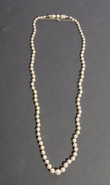 null Collier de perles de culture en chute, fermoir en or gris 18K (750 ‰).
Longueur...