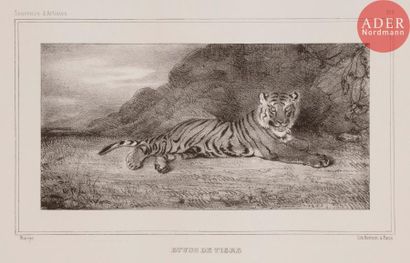 Antoine-Louis BARYE Antoine-Louis BARYE
 Étude de tigre. 1832. Lithographie. 84 x 165....